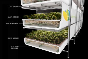 aerofarms-diagram