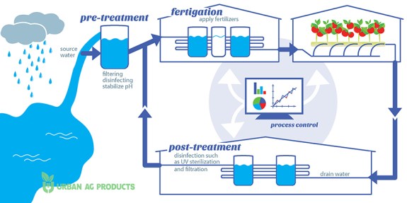 Irrigation and water treatment cycle