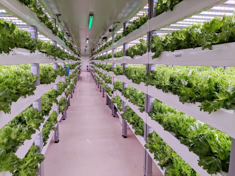 indoor vertical farm