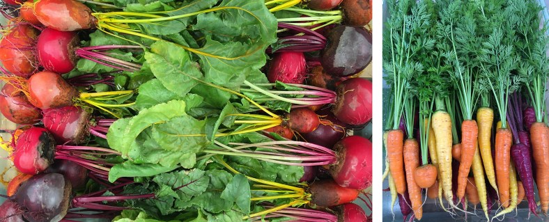 greenhouse grown beets, greenhouse grown carrots