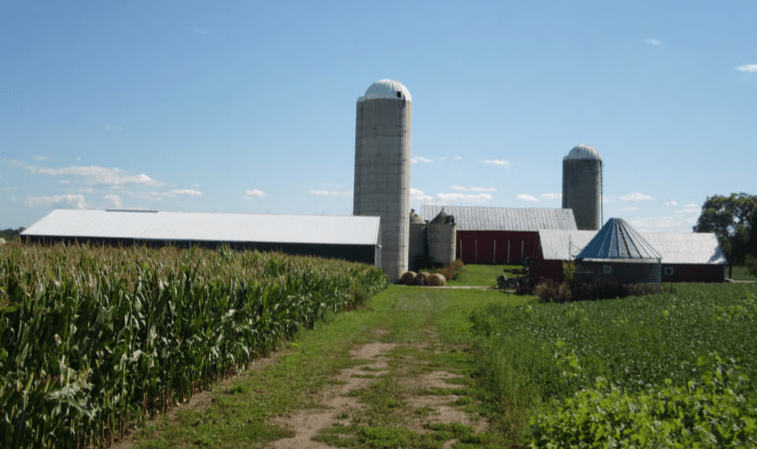 ThE farms operated by Growing Power can vary in size and method of production