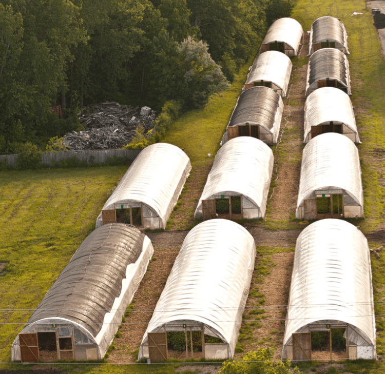 growing-power-greenhouses